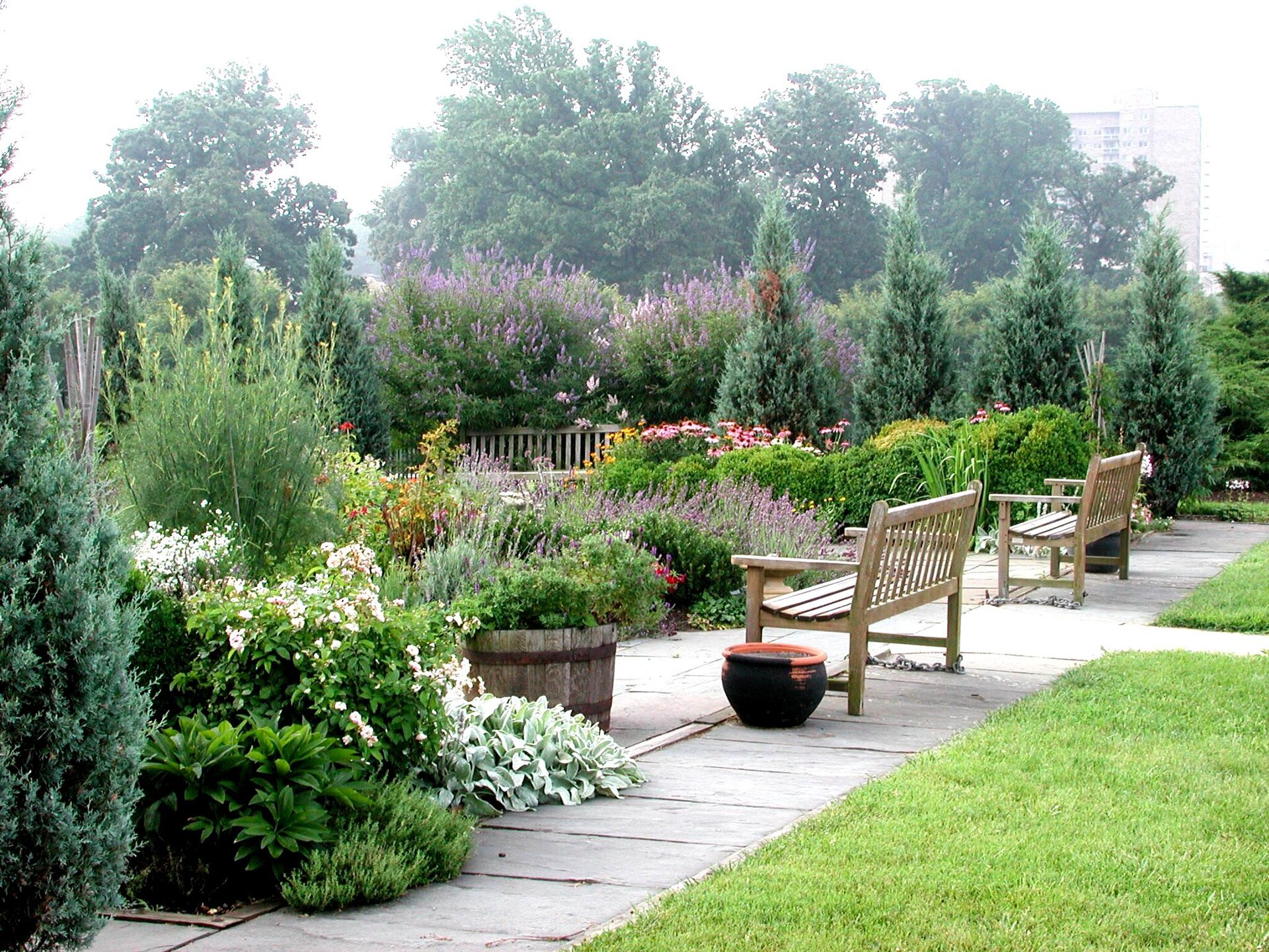 Diversas hierbas aromáticas creciendo en un jardín
