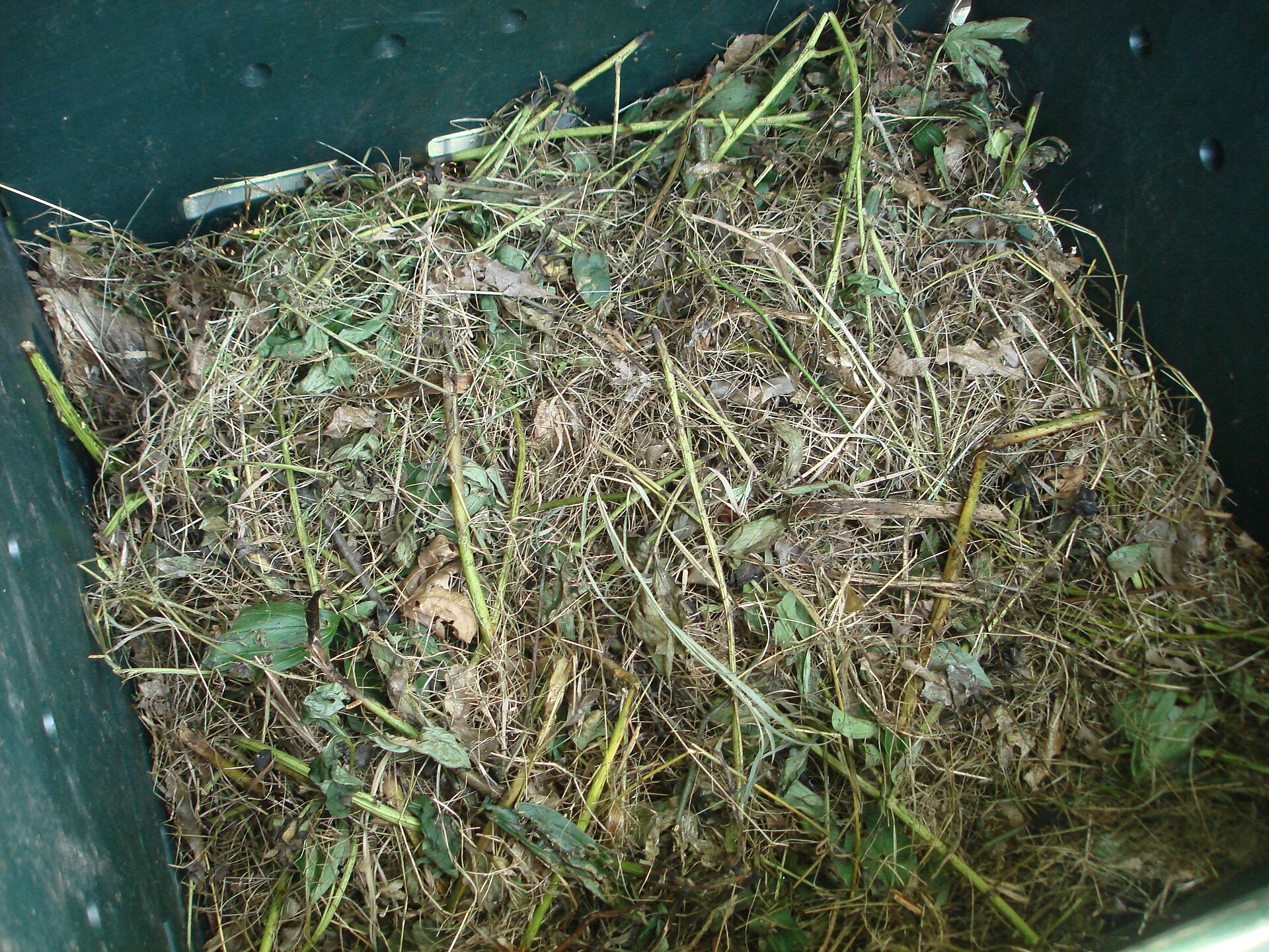 Material vegetal en descomposición dentro de una compostera