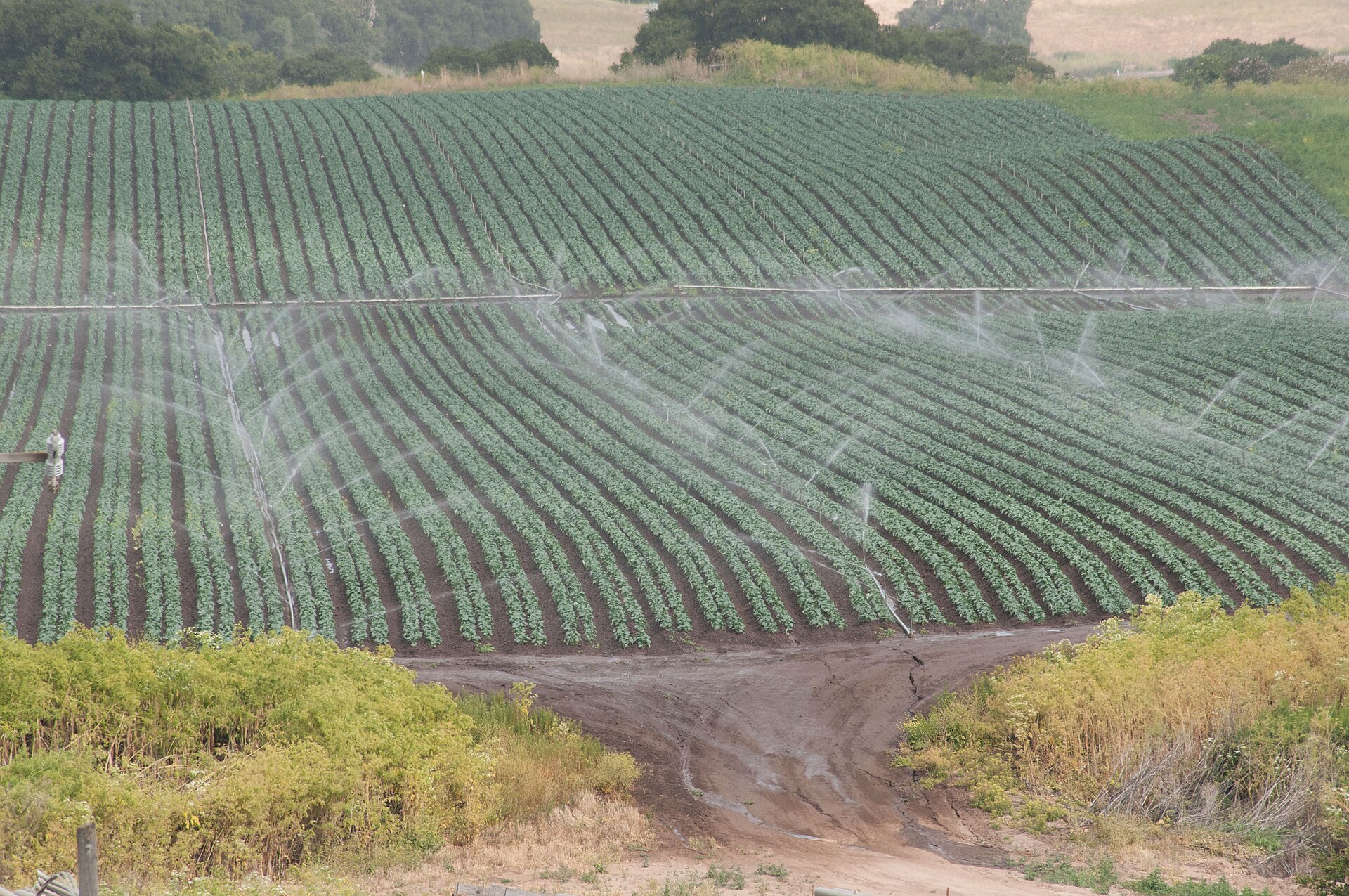 Enciclopedia de Agricultura